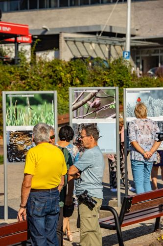 Mazurska Przyroda okiem giżycczan