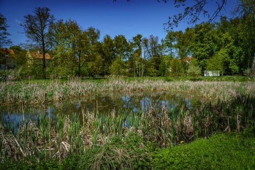 Park przy Gdańskiej